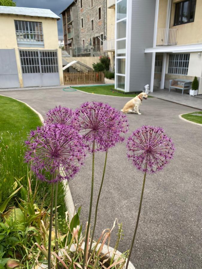 Chez Helene 3 Etoiles, Labellise Disabled Pmr,Pour 4 Personnes Chiens Bienvenus-Pet Friendly Apartment Бур-Мадам Екстериор снимка