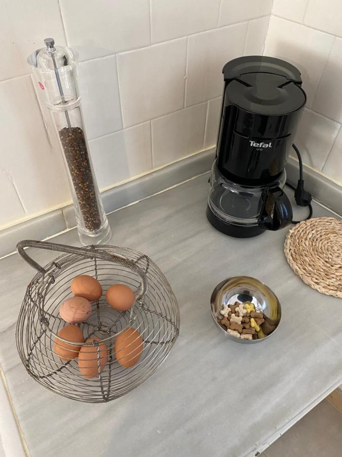 Chez Helene 3 Etoiles, Labellise Disabled Pmr,Pour 4 Personnes Chiens Bienvenus-Pet Friendly Apartment Бур-Мадам Екстериор снимка